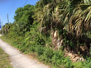 Airport Boulevard Sanford FL 32771 O5356334 image2