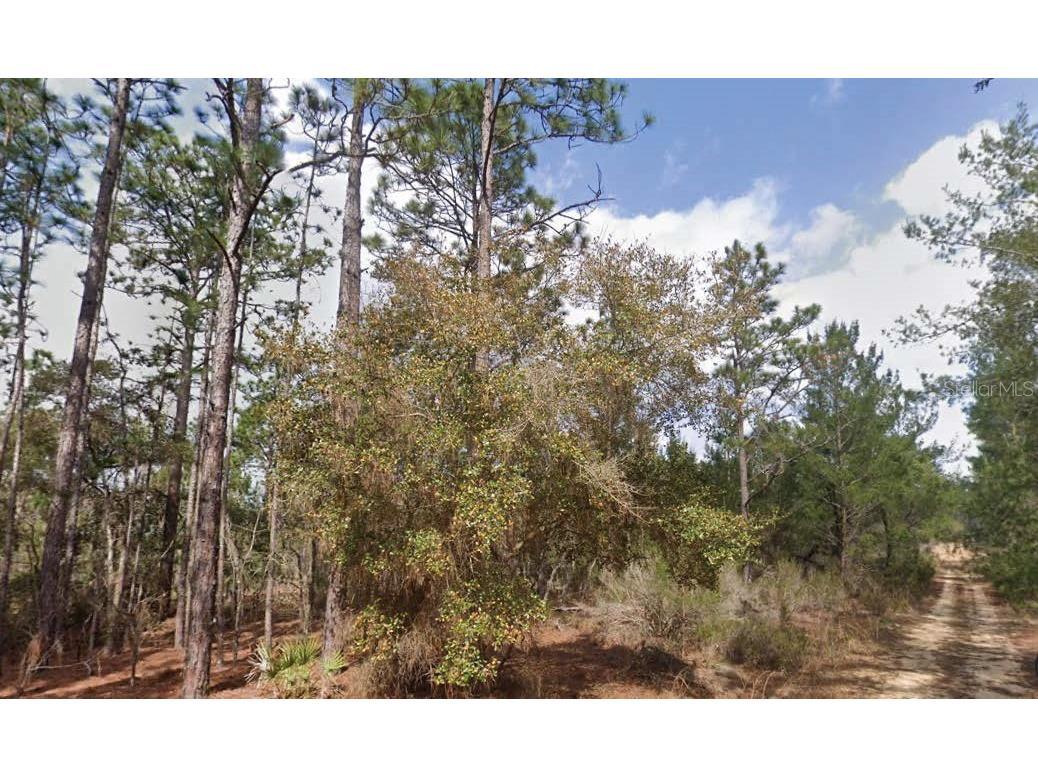 Akron Street Interlachen FL 32148 O6341597 image1