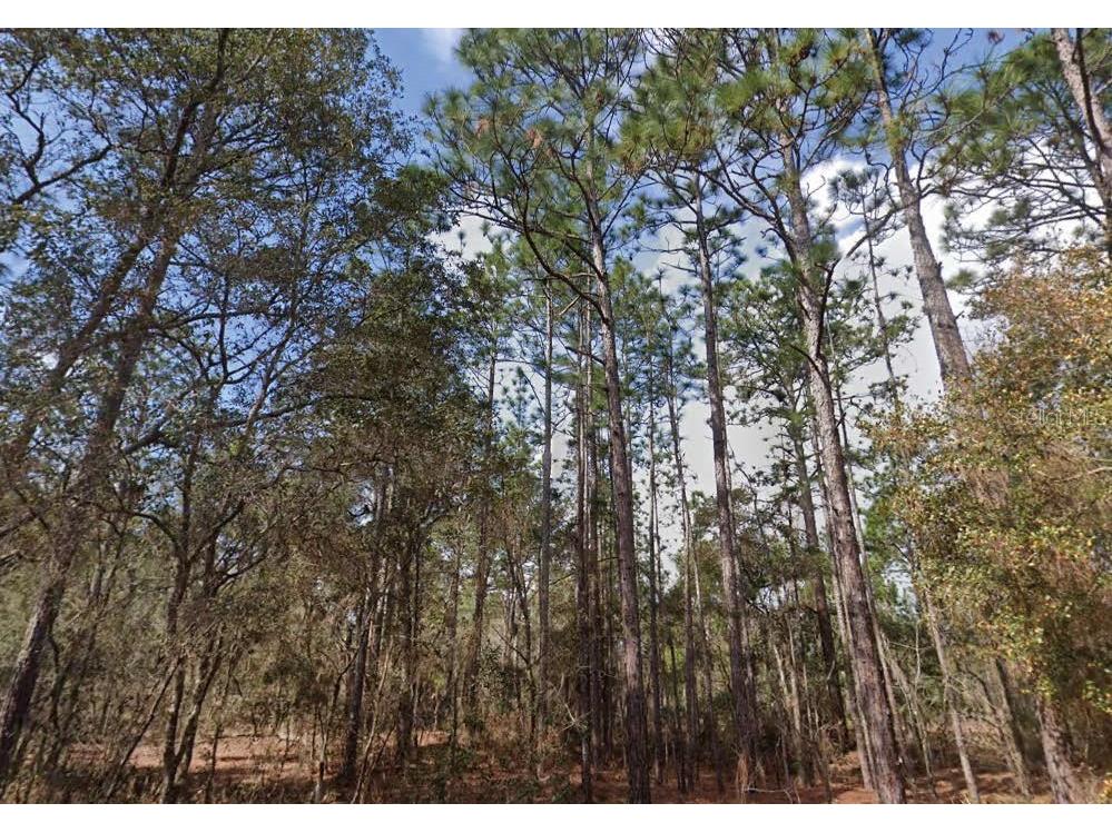 Akron Street Interlachen FL 32148 O6341597 image2