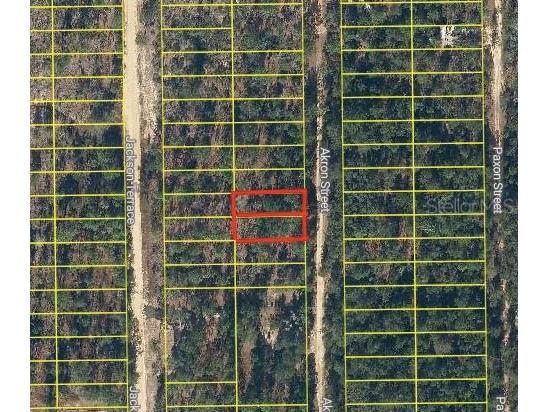 Akron Street Interlachen FL 32148 O6341597 image3