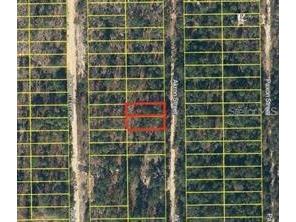Akron Street Interlachen FL 32148 O6396229 image3
