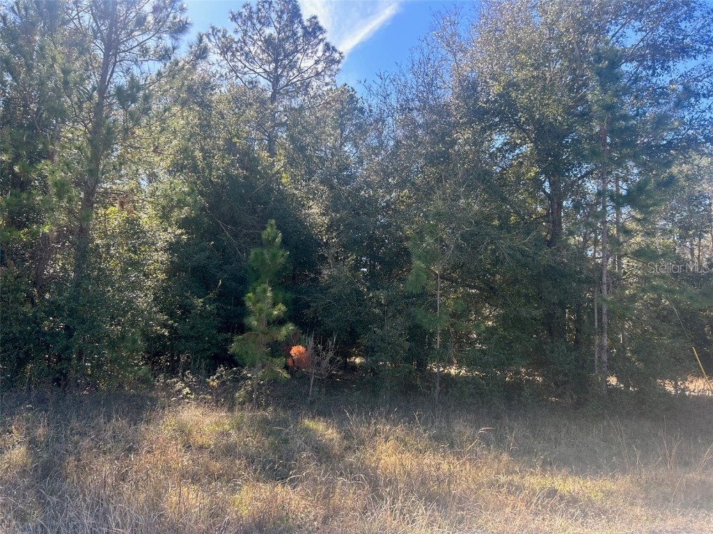  Alachua FL 32615 GC518442 image1