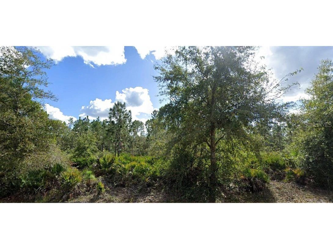 Alba Drive Indian Lake Estates FL 33855 O6242163 image1