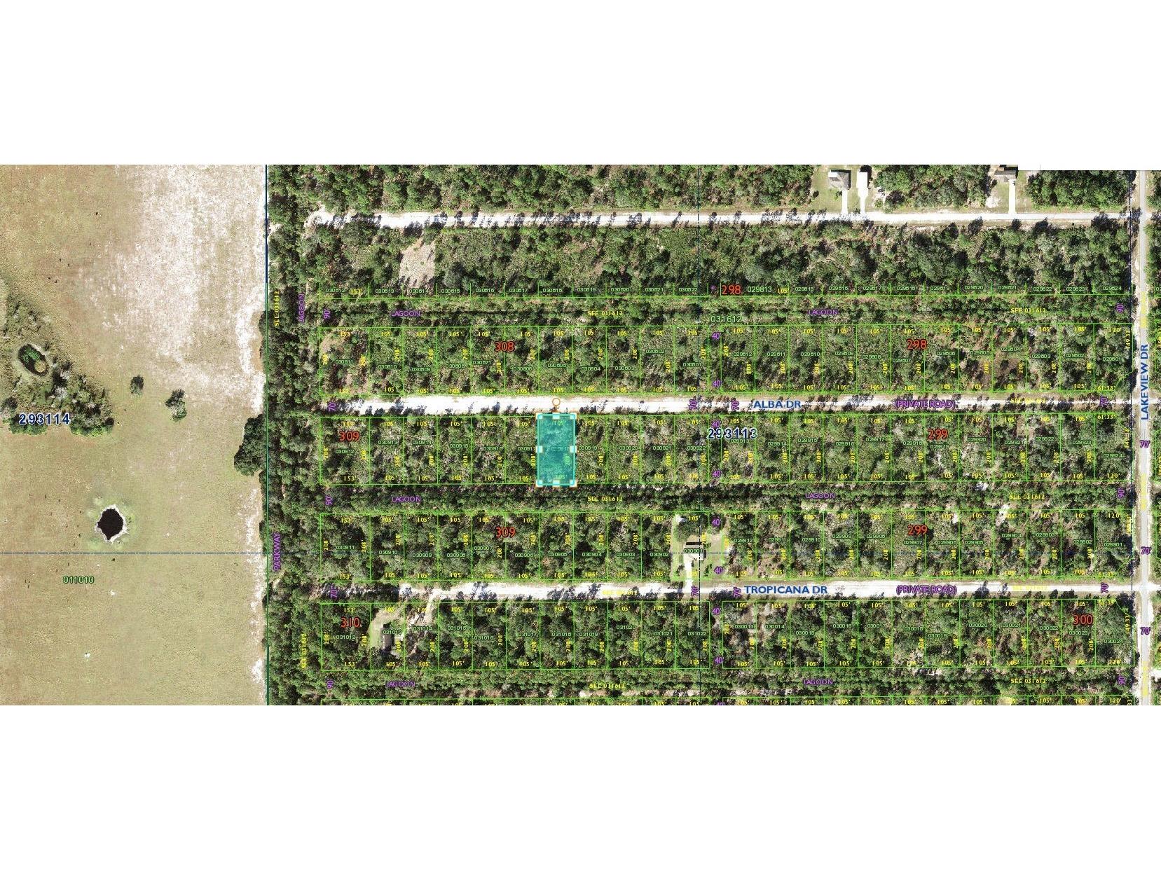 Alba Drive Indian Lake Estates FL 33855 O6242163 image4