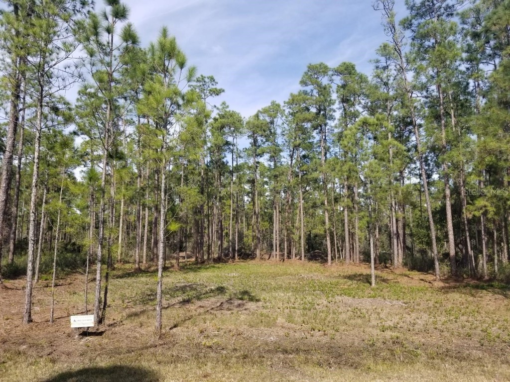 Alba Drive Indian Lake Estates FL 33855 TB8351444 image1