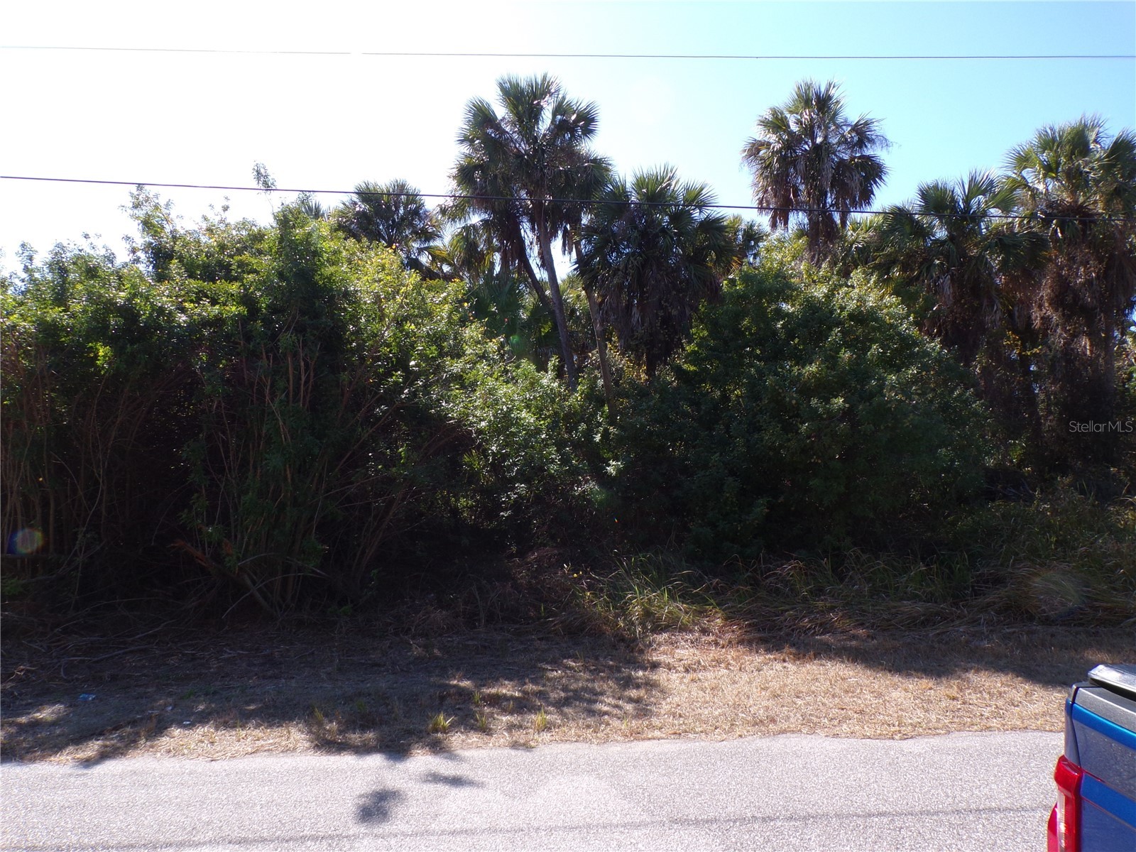 Albatros Lane North Port FL 34288 C7521960 image1