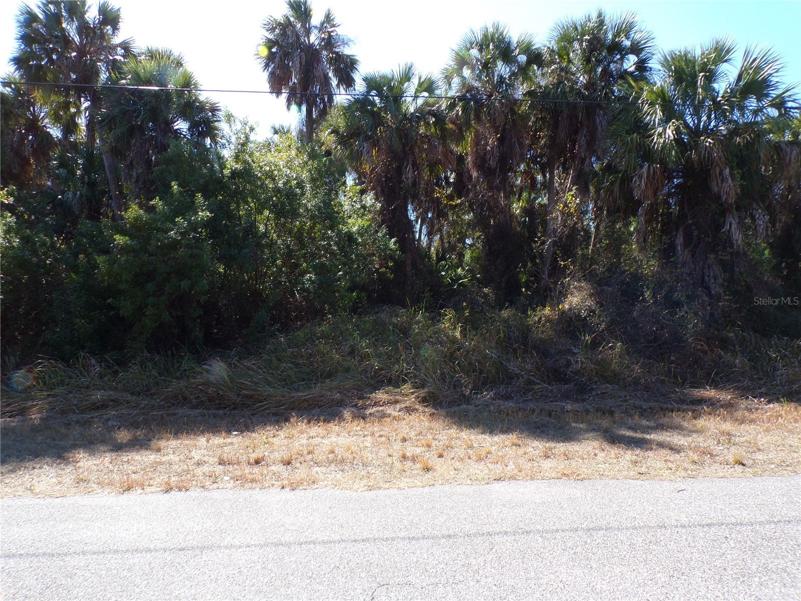 Albatros Lane North Port FL 34288 C7521960 image5