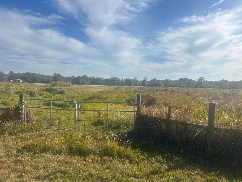 Albritton Road, Duette, FL, 34219 MLS C7487774 Edina Realty