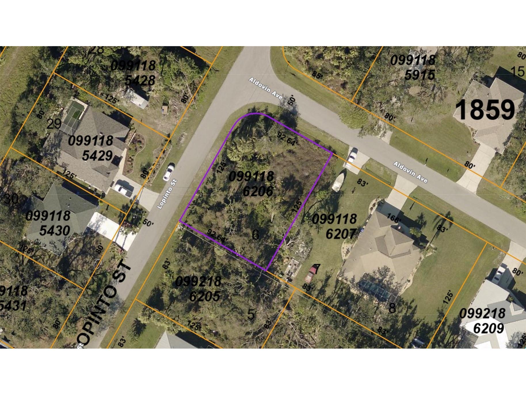 Aldovin Avenue North Port FL 34287 N6143543 image6