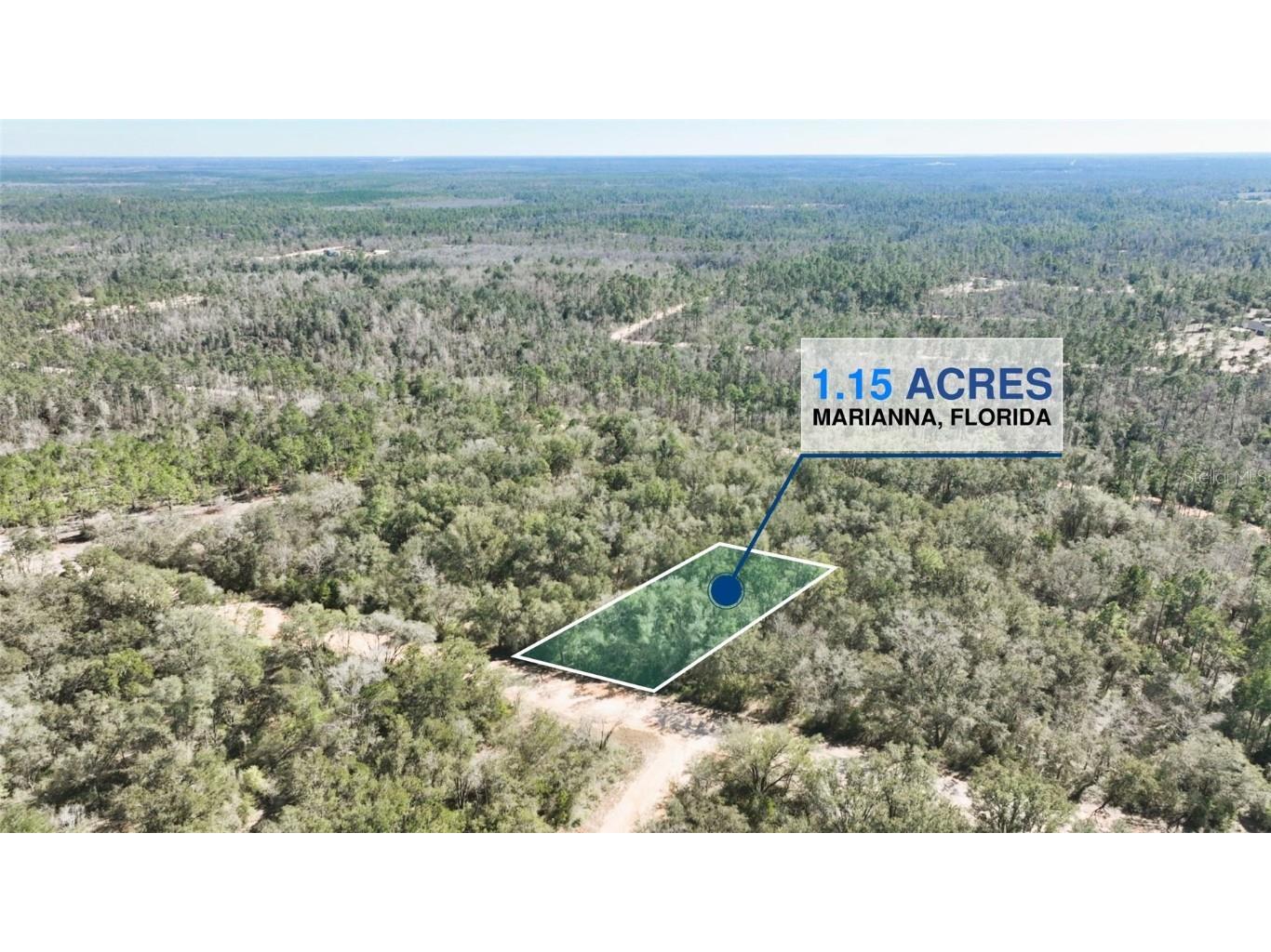 Aleo Street Marianna FL 32448 O6288476 image1