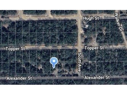 Alexander Street Interlachen FL 32148 OM697038 image1