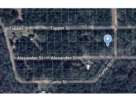 Alexander Street Interlachen FL 32148 OM697041 image1