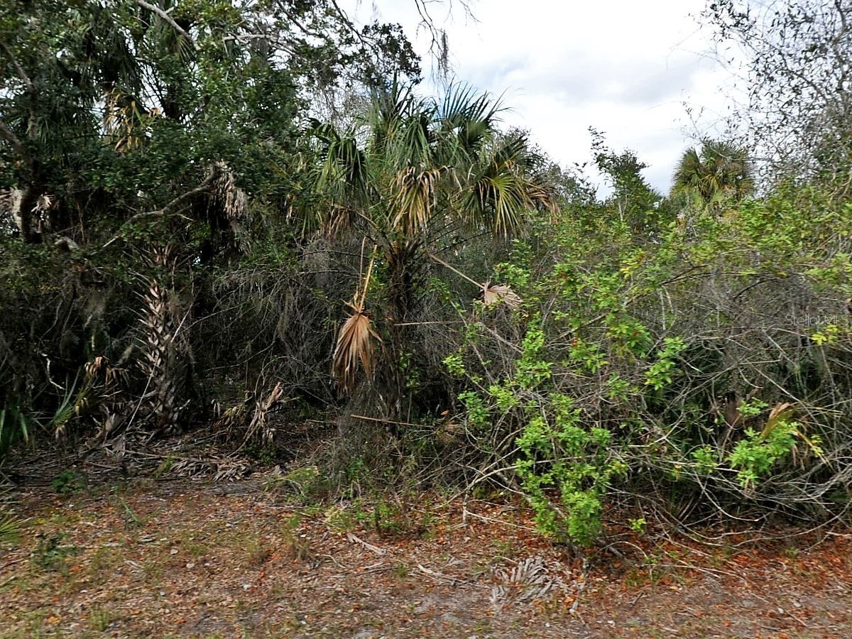 Alfa Terrace North Port FL 34286 - MACCAUGHEY WATERWAY A4684093 image1