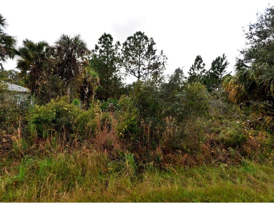 Alhambra Avenue North Port FL 34291 C7504537 image3