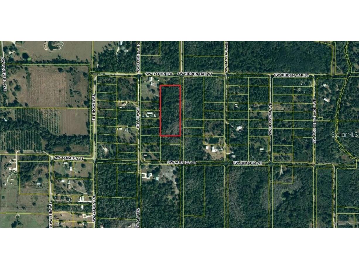 Ali Terrace Arcadia FL 34266 C7452470 image1