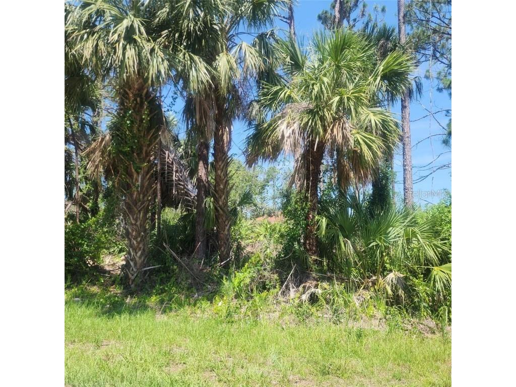 Alibi Terrace North Port FL 34286 TB8421581 image1