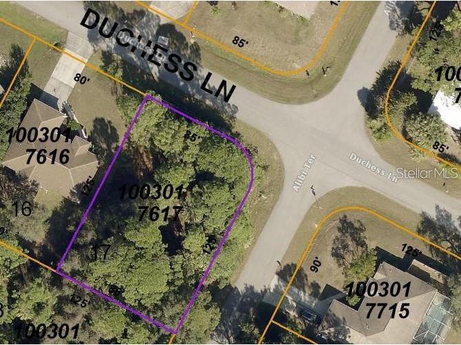 Alibi Terrace North Port FL 34286 TB8421581 image2