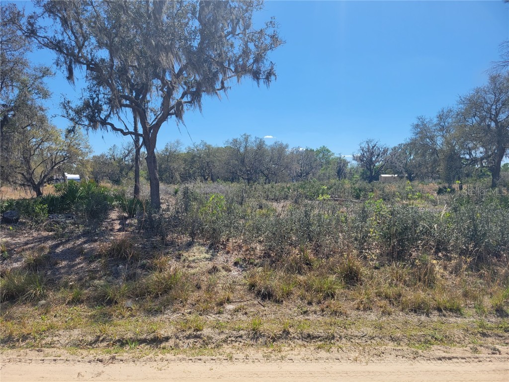 Alison Avenue Lake Wales FL 33859 P4924987 image1