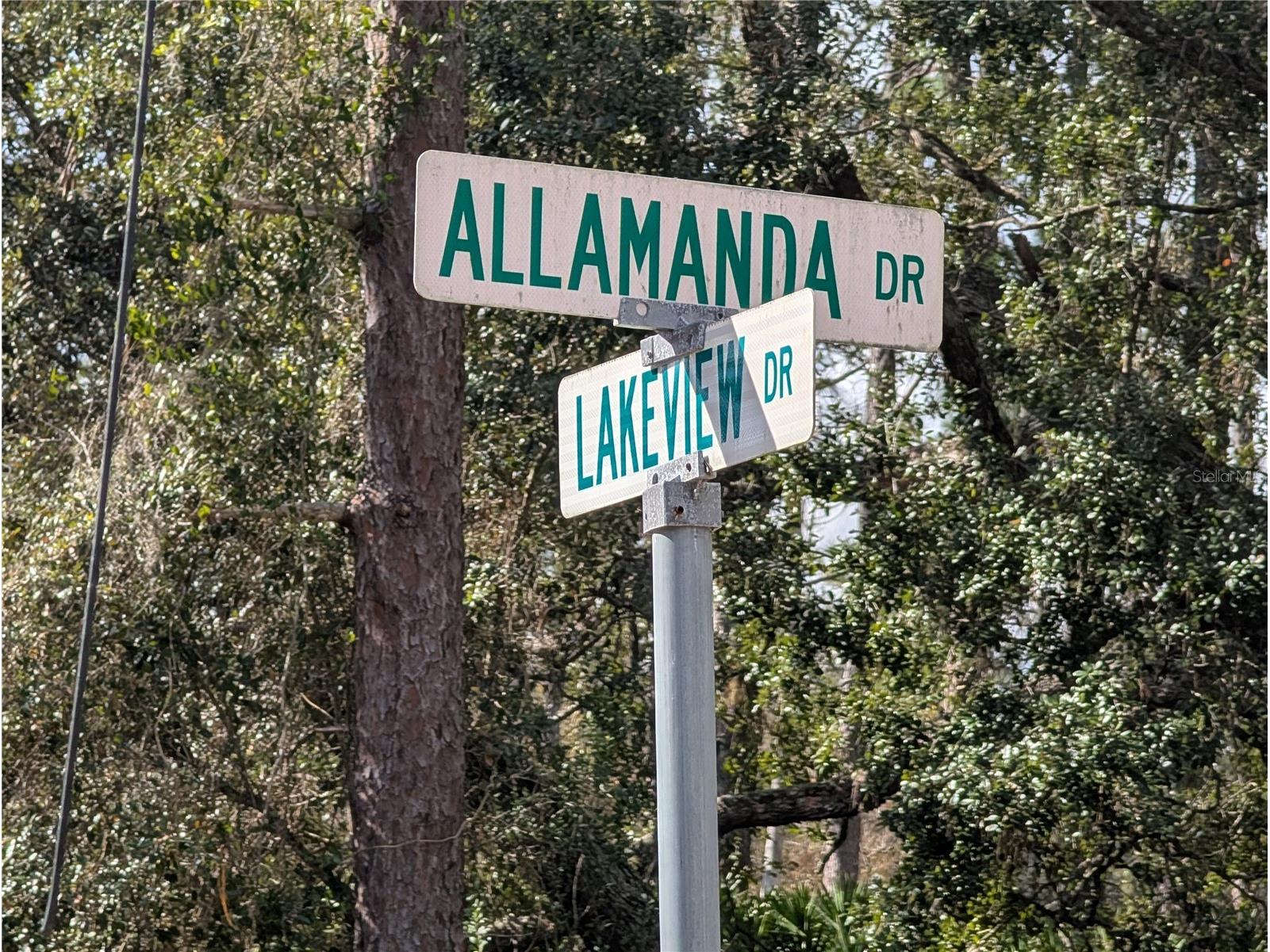 Allamanda Drive Indian Lake Estates FL 33855 - LAKE WALK-IN-WATER P4937831 image1