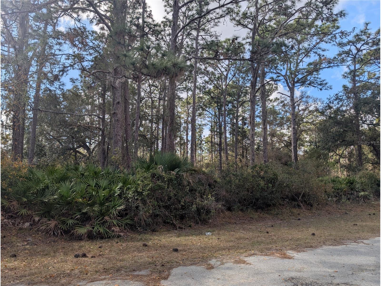 Allamanda Drive Indian Lake Estates FL 33855 - LAKE WALK-IN-WATER P4937831 image2