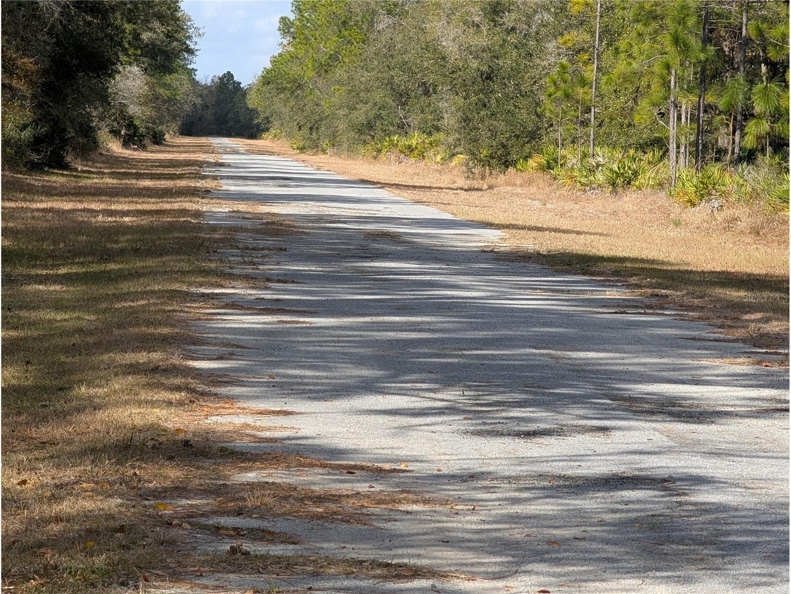 Allamanda Drive Indian Lake Estates FL 33855 - LAKE WALK-IN-WATER P4937831 image3