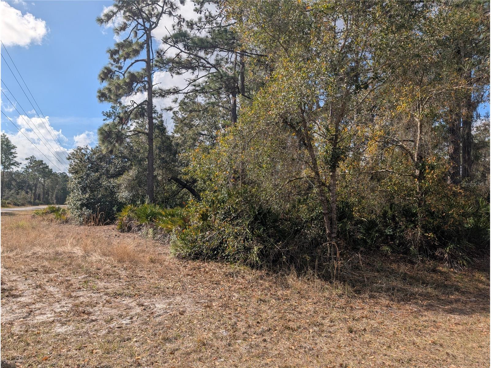 Allamanda Drive Indian Lake Estates FL 33855 - LAKE WALK-IN-WATER P4937831 image4