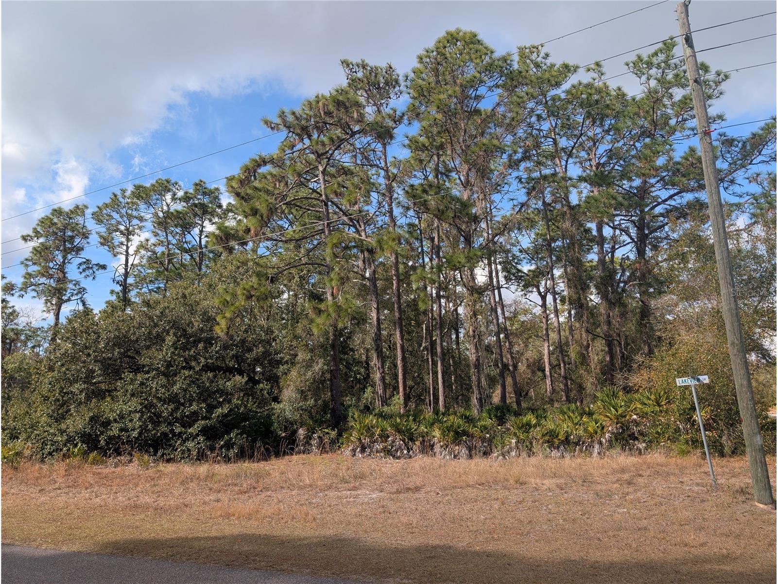 Allamanda Drive Indian Lake Estates FL 33855 - LAKE WALK-IN-WATER P4937831 image5