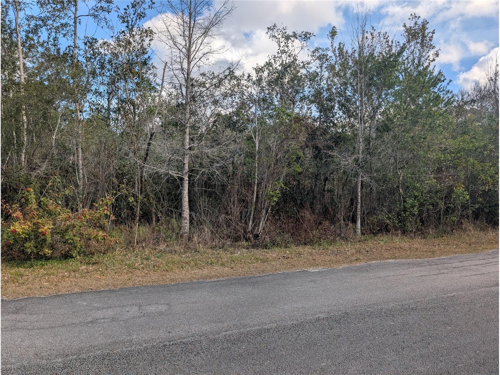 Allamanda Drive Indian Lake Estates FL 33855 - LAKE WALK-IN-WATER P4937831 image6