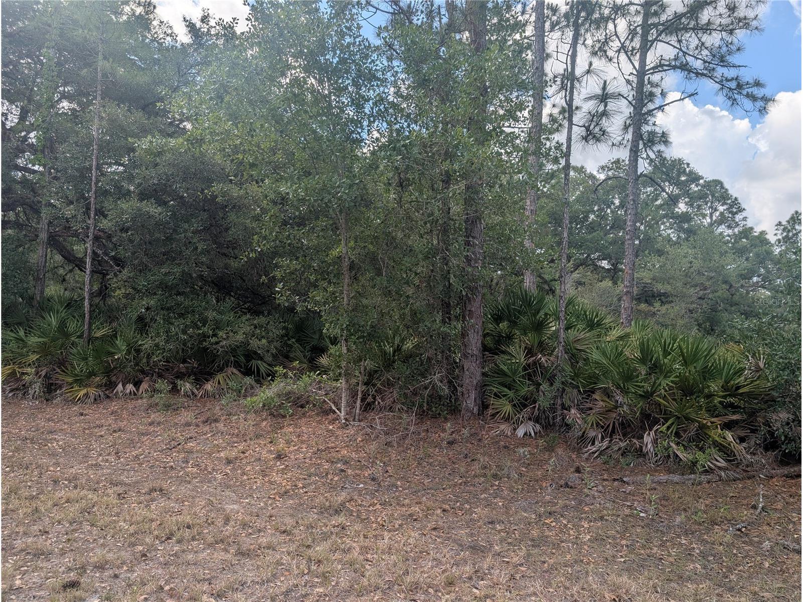 Allamanda Drive Indian Lake Estates FL 33855 - LAKE WALK-IN-WATER P4938767 image1