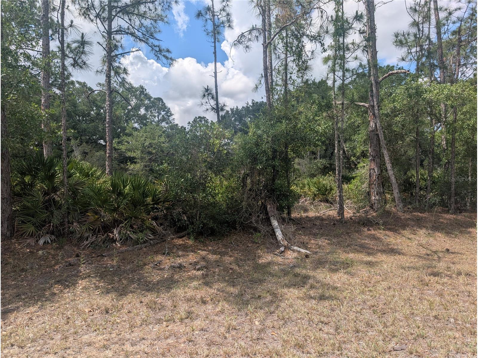 Allamanda Drive Indian Lake Estates FL 33855 - LAKE WALK-IN-WATER P4938767 image4