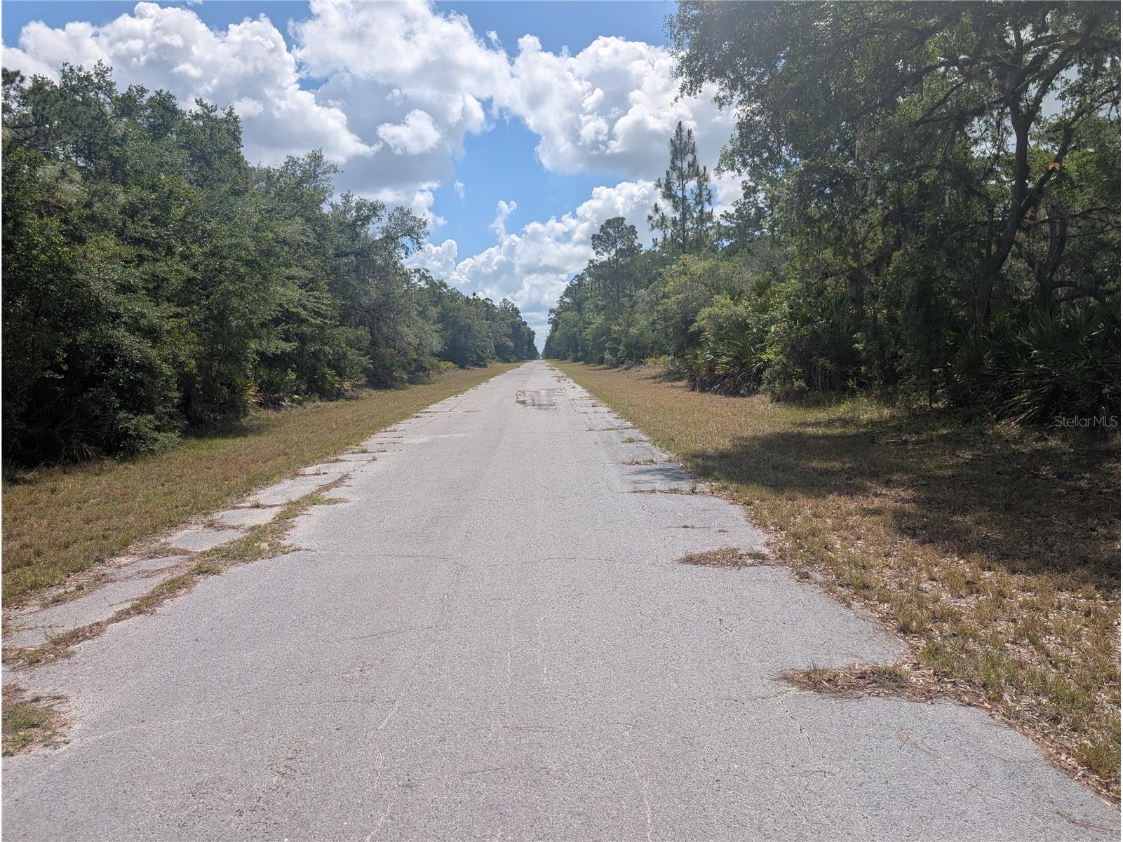 Allamanda Drive Indian Lake Estates FL 33855 - LAKE WALK-IN-WATER P4938767 image5