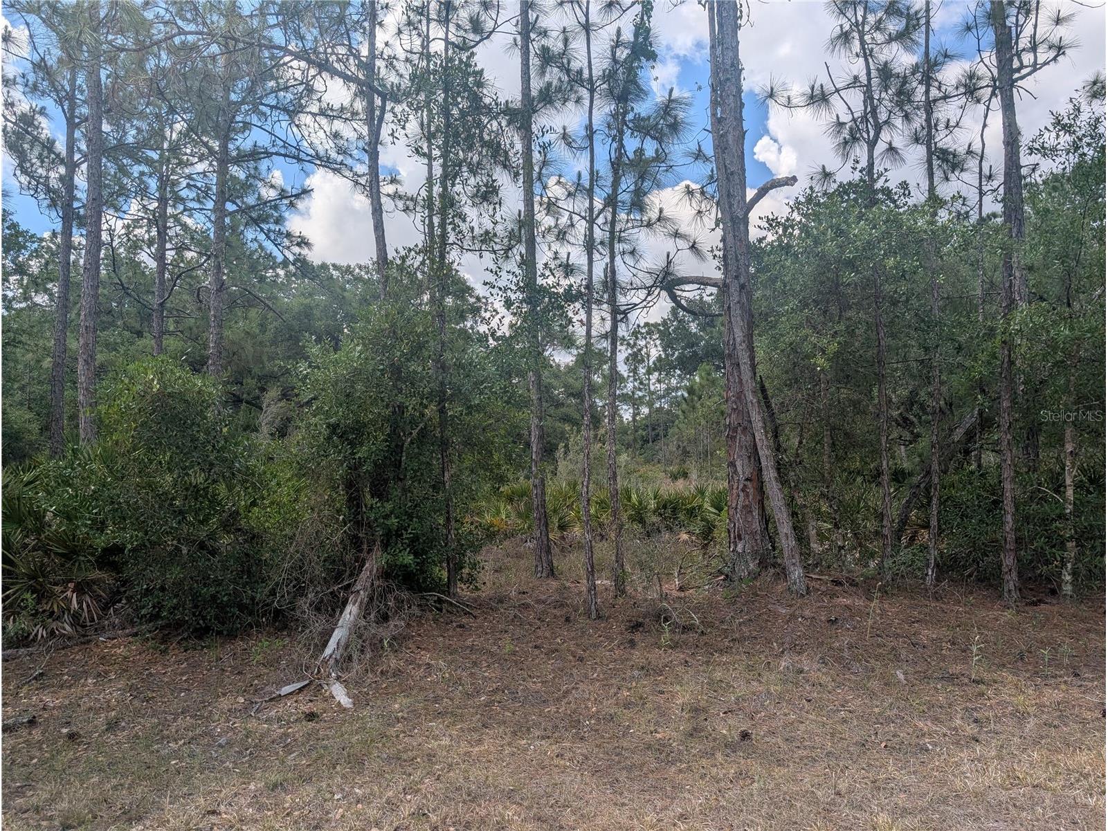 Allamanda Drive Indian Lake Estates FL 33855 - LAKE WALK-IN-WATER P4938767 image6