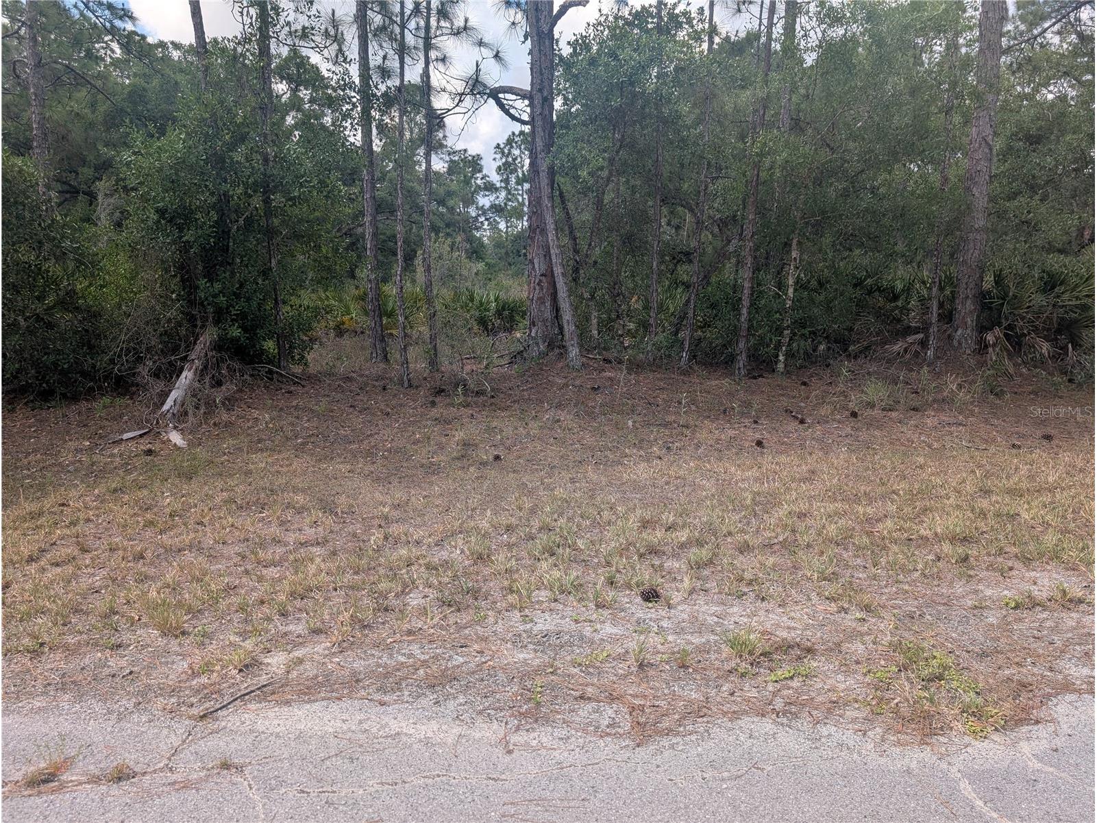 Allamanda Drive Indian Lake Estates FL 33855 - LAKE WALK-IN-WATER P4938767 image7