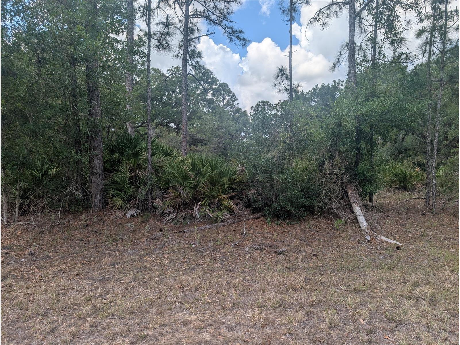 Allamanda Drive Indian Lake Estates FL 33855 - LAKE WALK-IN-WATER P4938767 image8