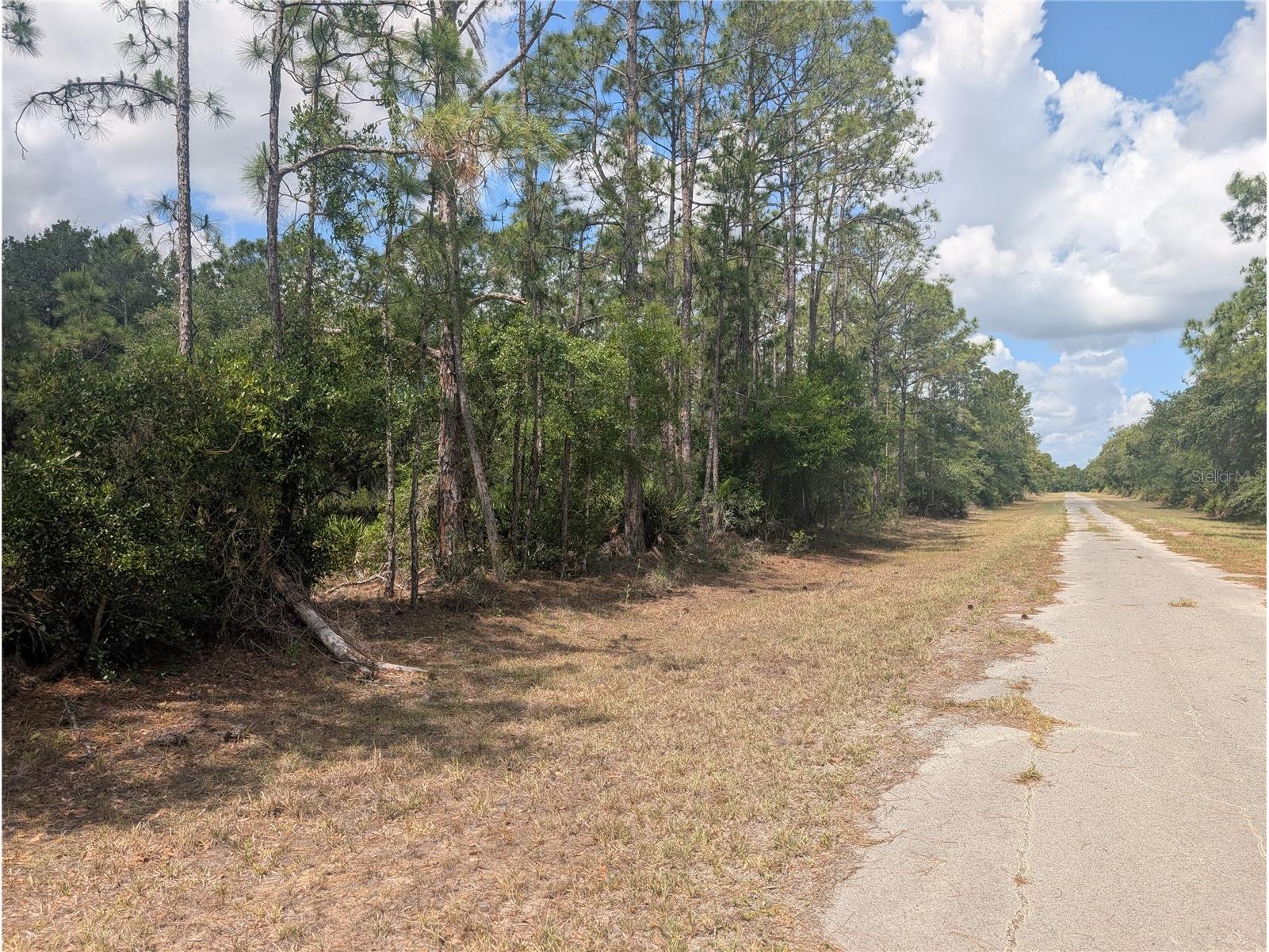 Allamanda Drive Indian Lake Estates FL 33855 - LAKE WALK-IN-WATER P4938767 image9