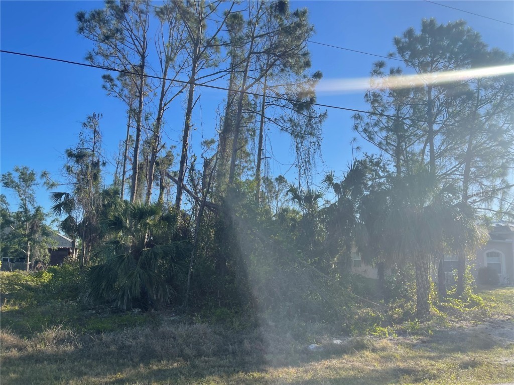 Allegheny Lane North Port FL 34286 C7473123 image1