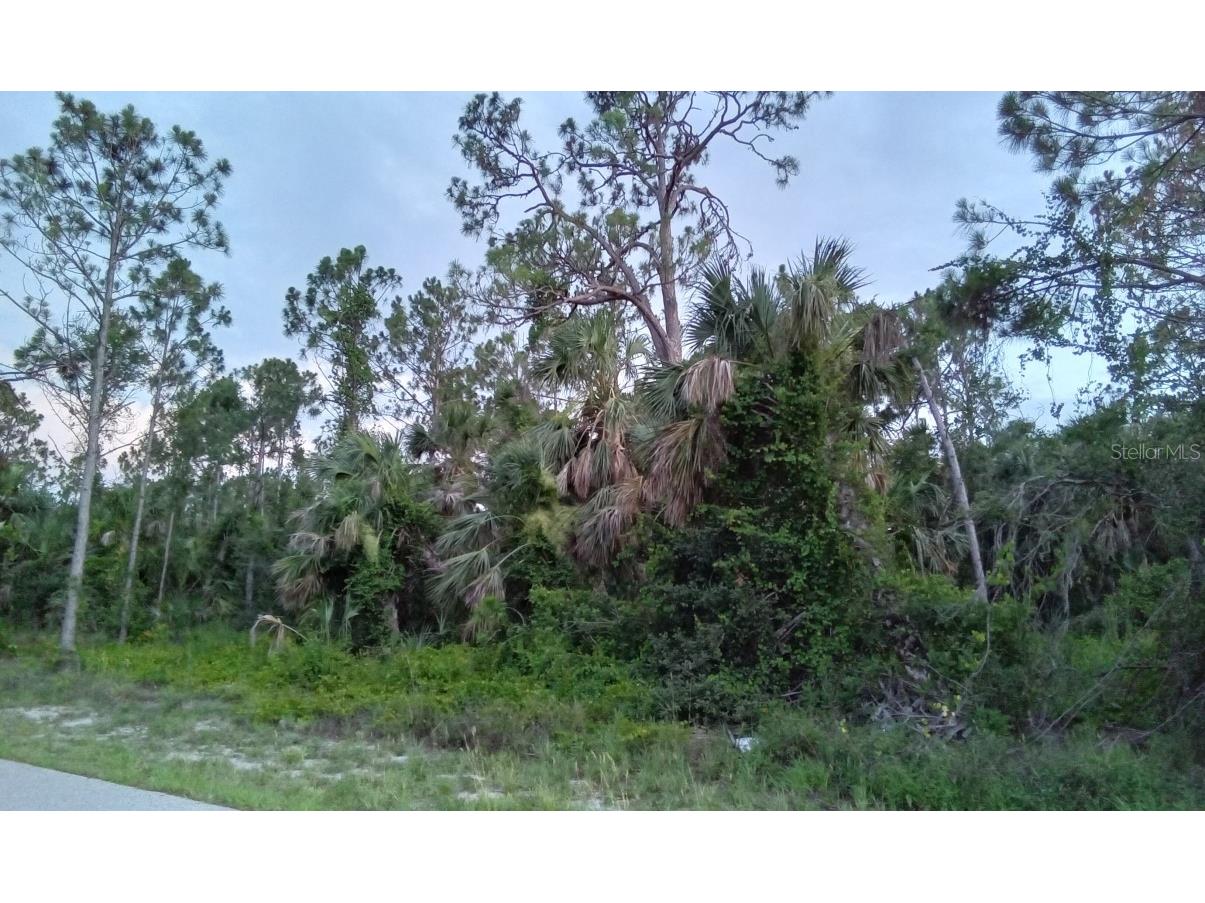 Allegheny Lane North Port FL 34286 O6131040 image1