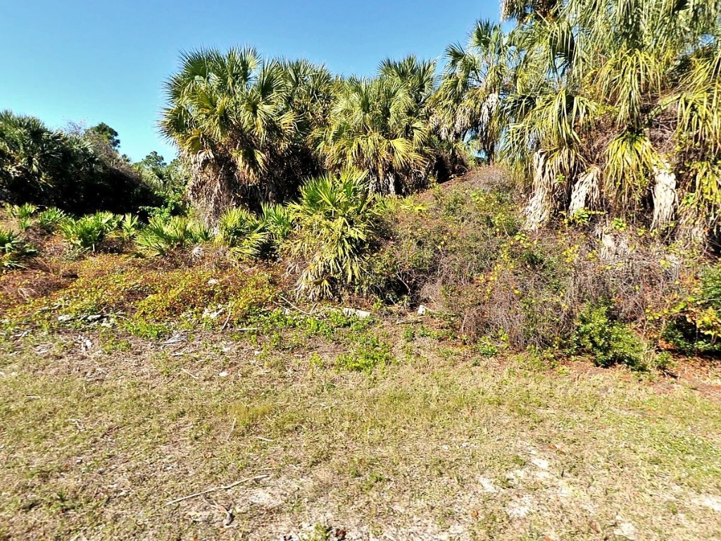 Allhaven Terrace North Port FL 34286 TB8382759 image1