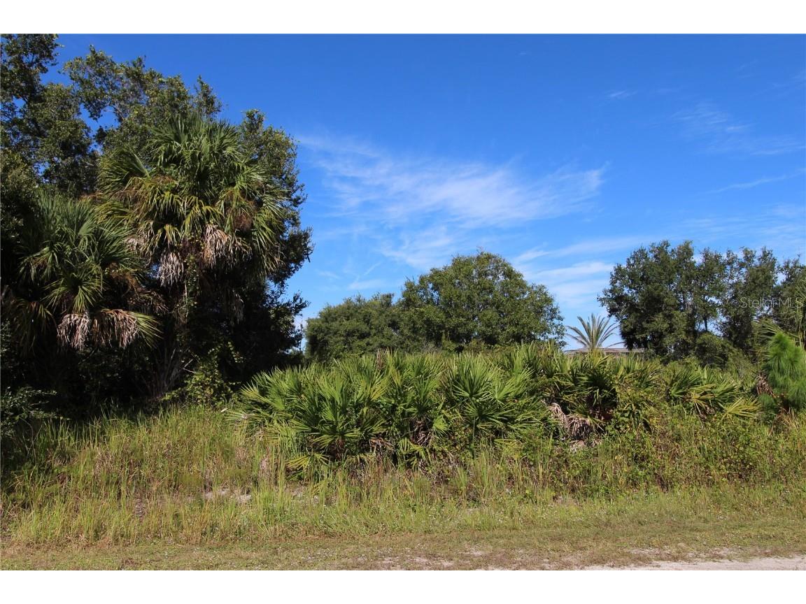 Alliance Avenue North Port FL 34286 C7451769 image1