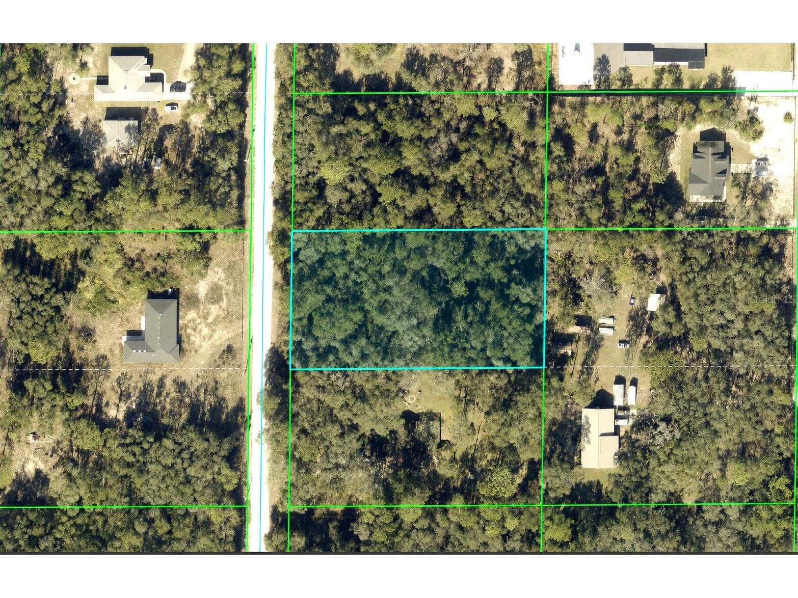 Alloy Street Webster FL 33597 W7886707 image1