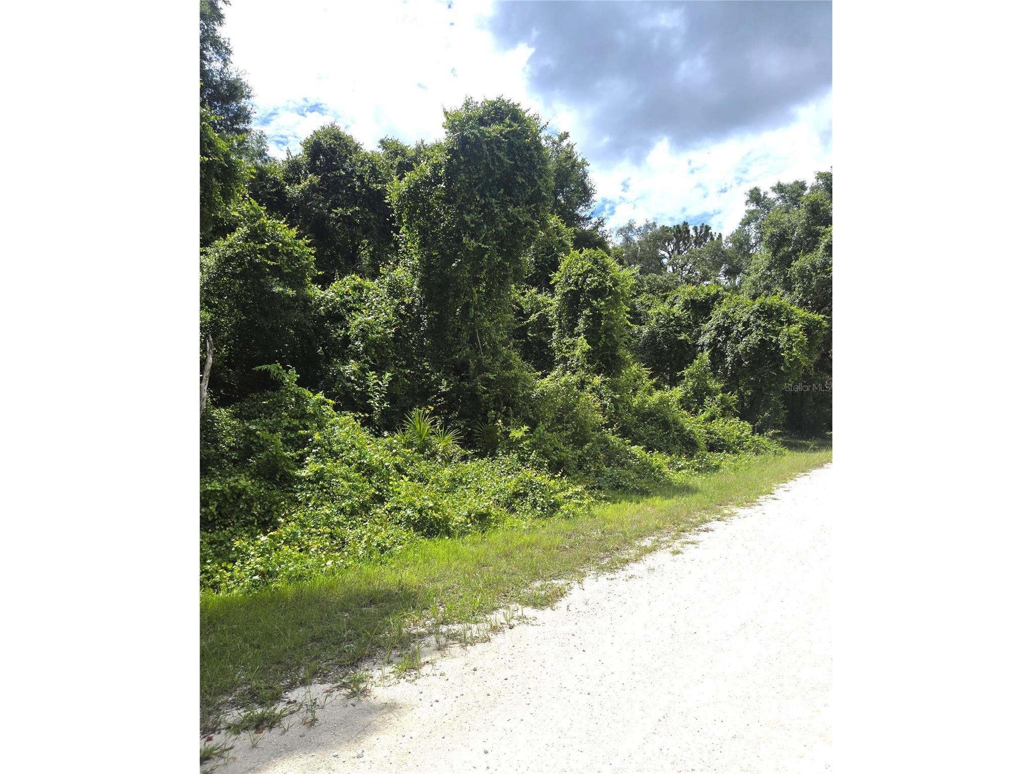 Alloy Street Webster FL 33597 W7886707 image6