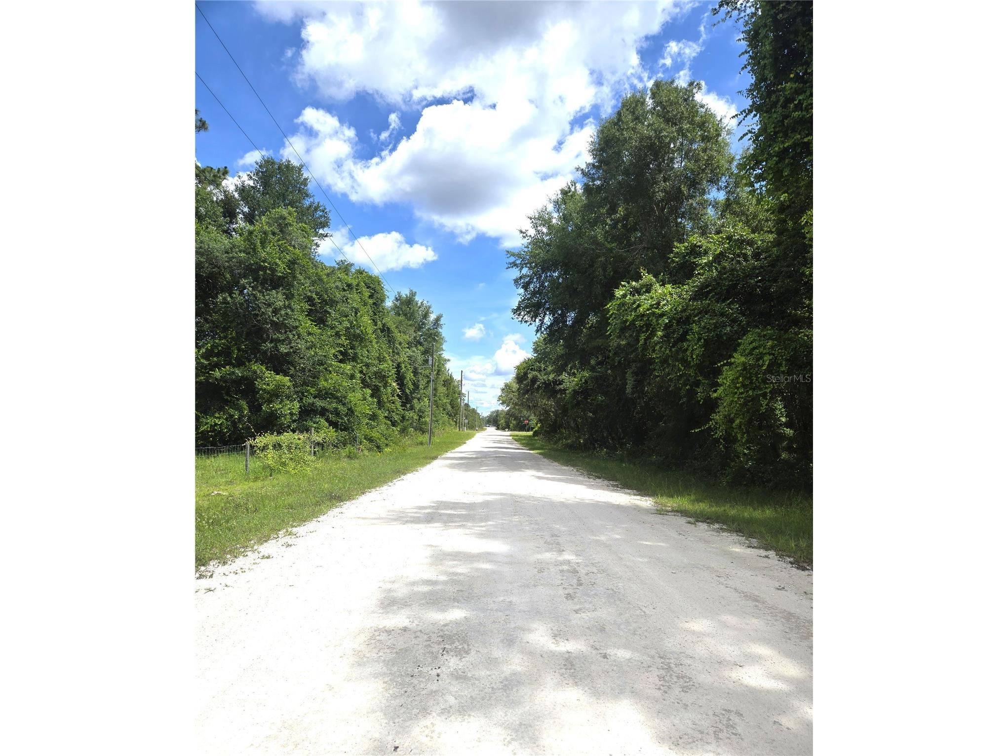 Alloy Street Webster FL 33597 W7886707 image7