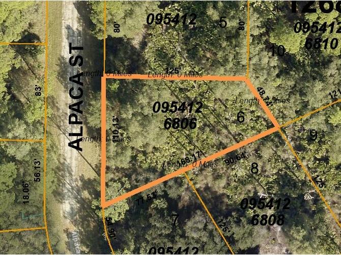 Alpaca (Lot 6) Street North Port FL 34291 D6129946 image1