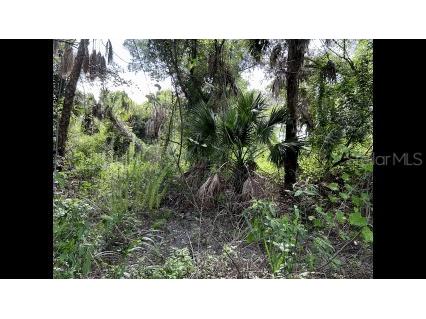 Alpen Avenue North Port FL 34291 N6141109 image1