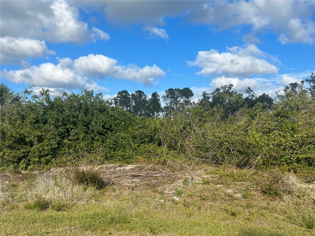 Alseir Road North Port FL 34288 A4567584 image1