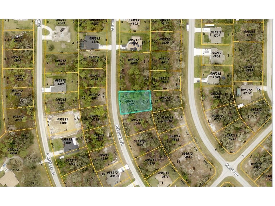 Altemus Street North Port FL 34291 C7506107 image1