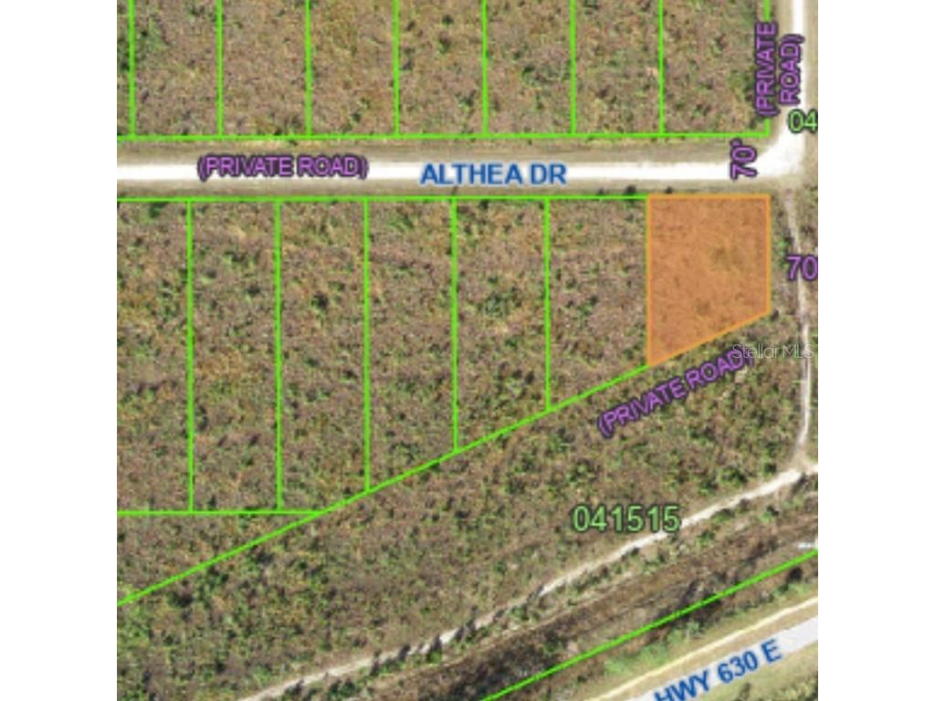 Althea Drive Indian Lake Estates FL 33855 A4657408 image1