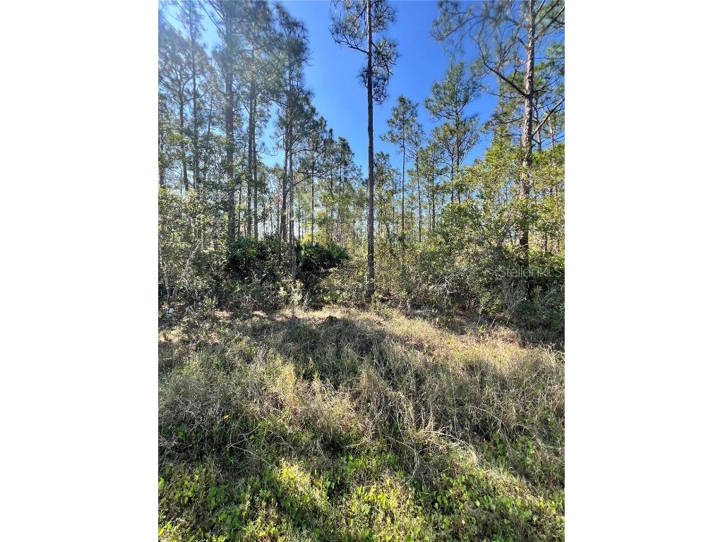 Althea Drive Indian Lake Estates FL 33855 L4951799 image1