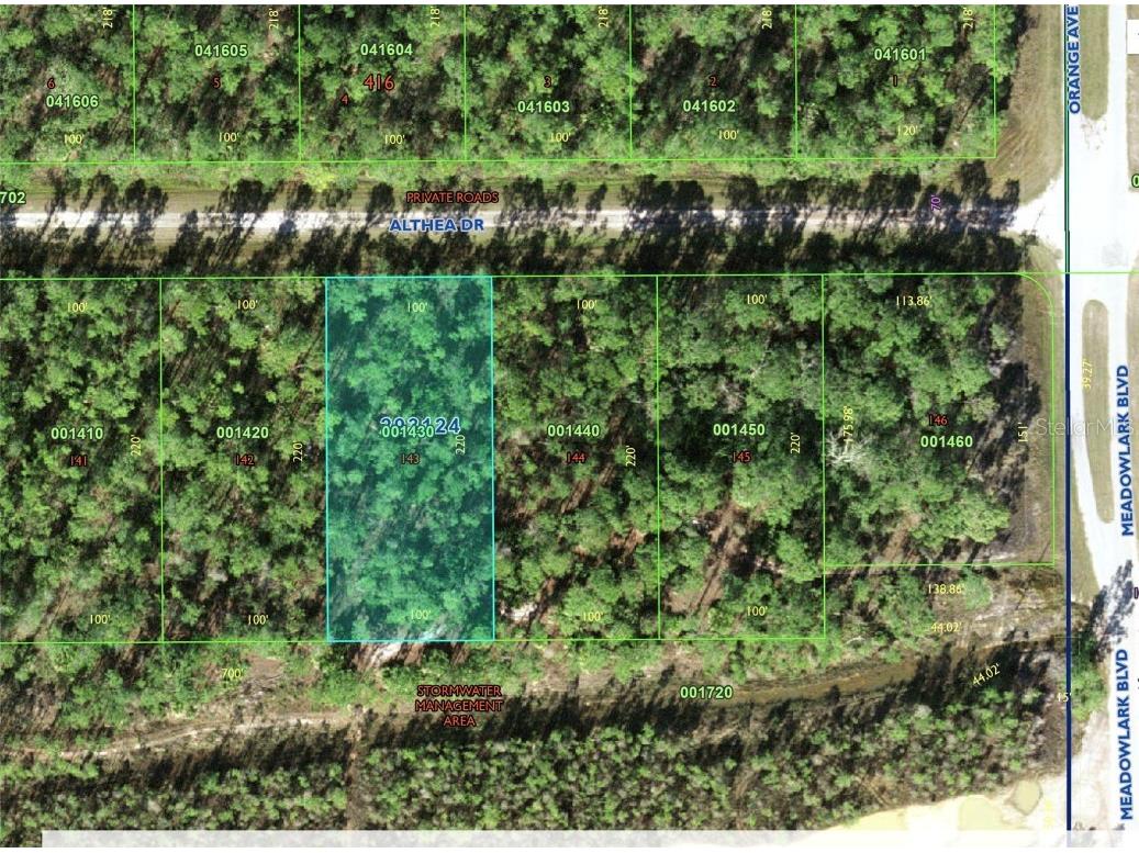 Althea Drive Indian Lake Estates FL 33855 L4951800 image2