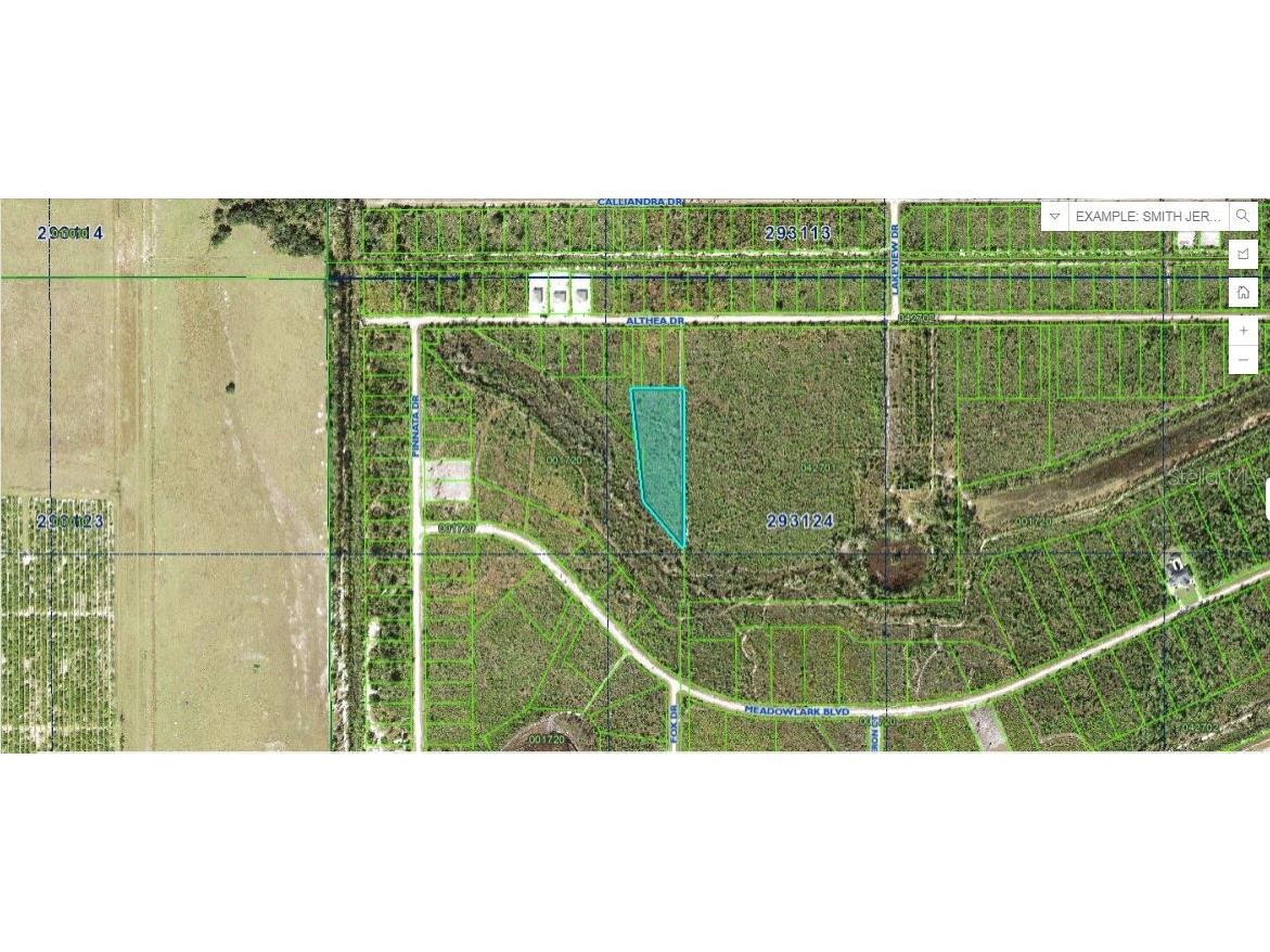 Althea Drive Indian Lake Estates FL 33855 O6270945 image1